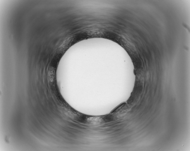 X0000096730133200802261502