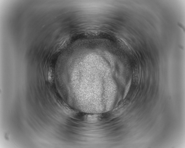 X0000096730134200802261502