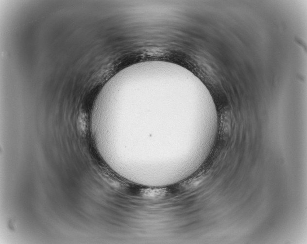 X0000096730135200802261502