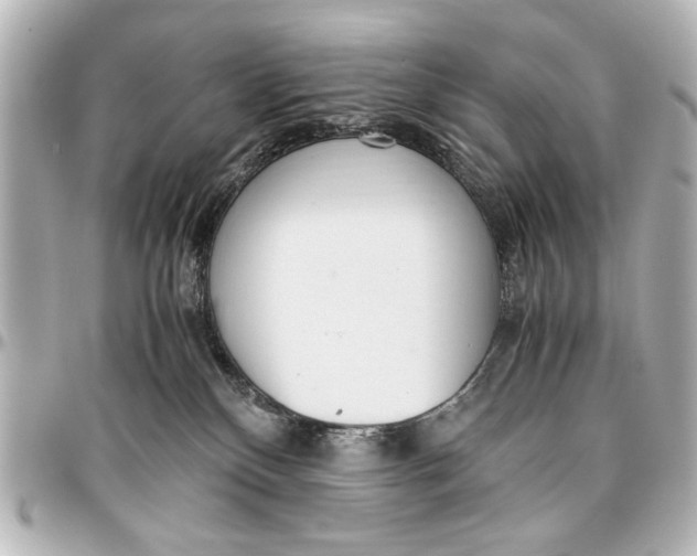 X0000096730136200802261502