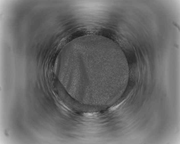 X0000096730137200802261502