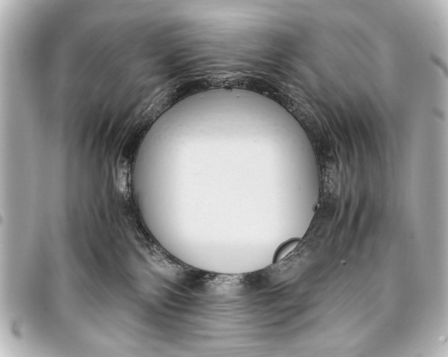 X0000096730138200802261502