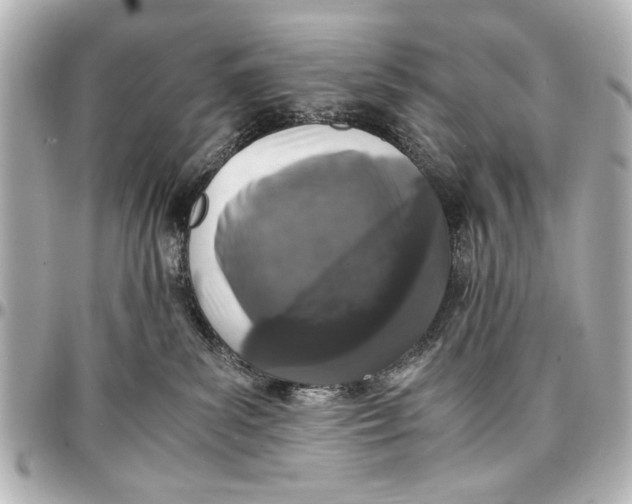 X0000096730139200802261502