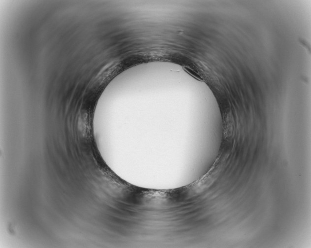 X0000096730140200802261502