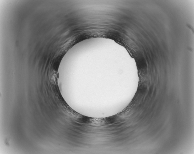 X0000096730141200802261502