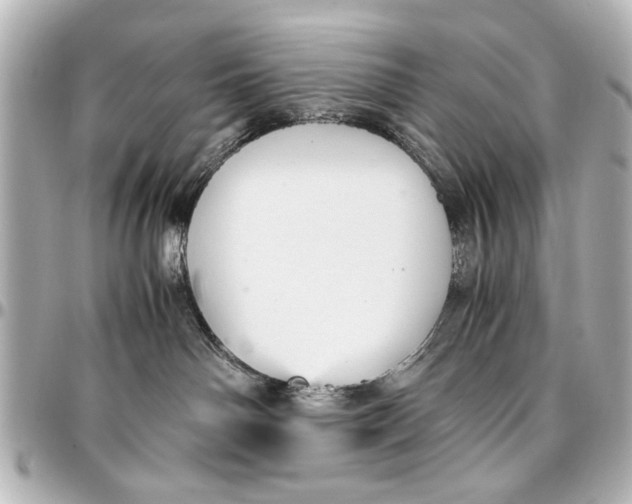X0000096730142200802261502
