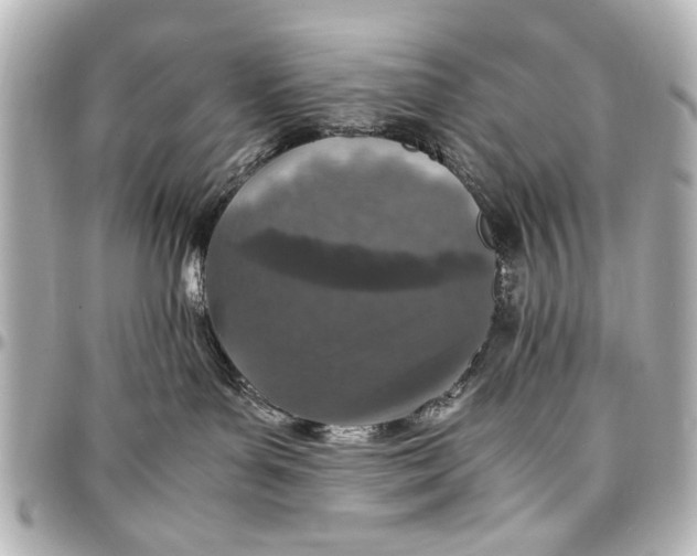 X0000096730143200802261502