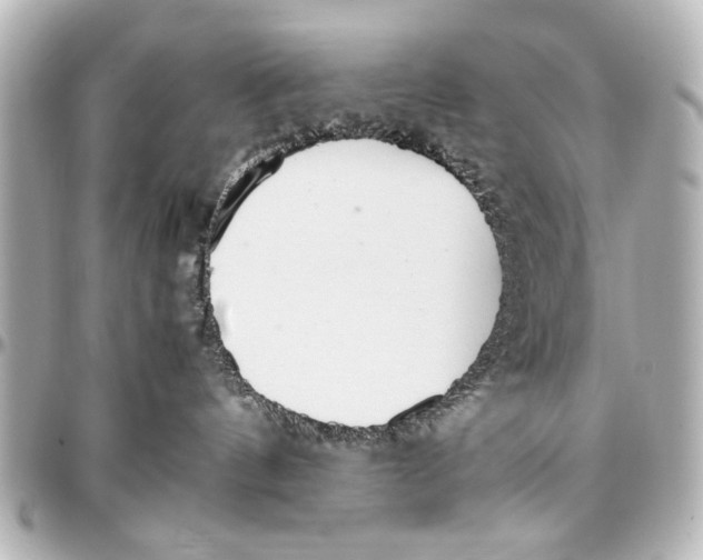 X0000096730144200802261502