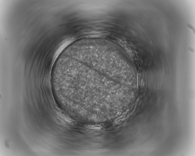 X0000096730147200802261501