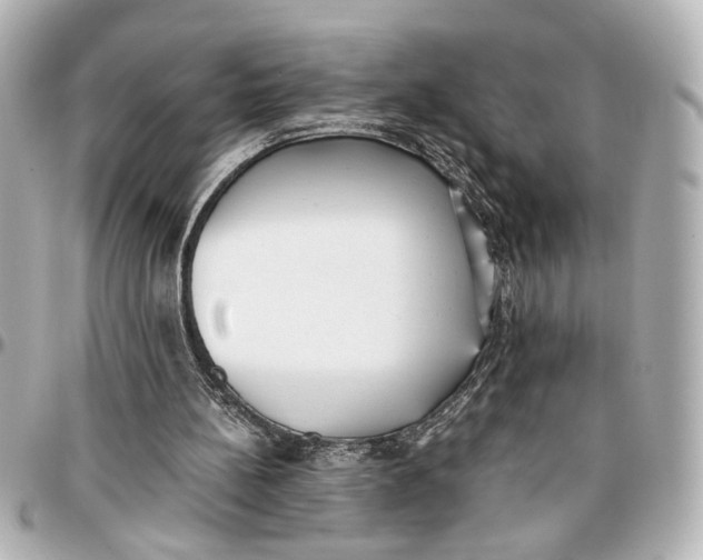 X0000096730148200802261501