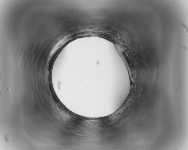 X0000096730150200802261501