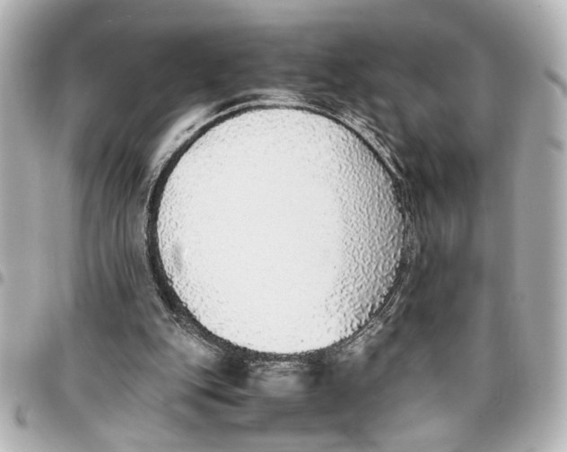 X0000096730151200802261501