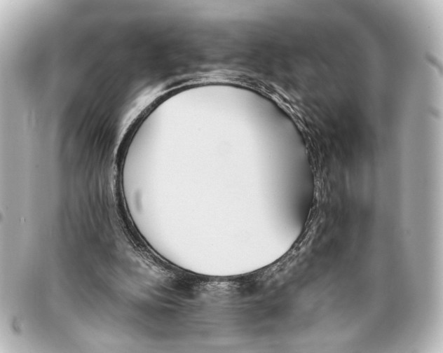 X0000096730152200802261501