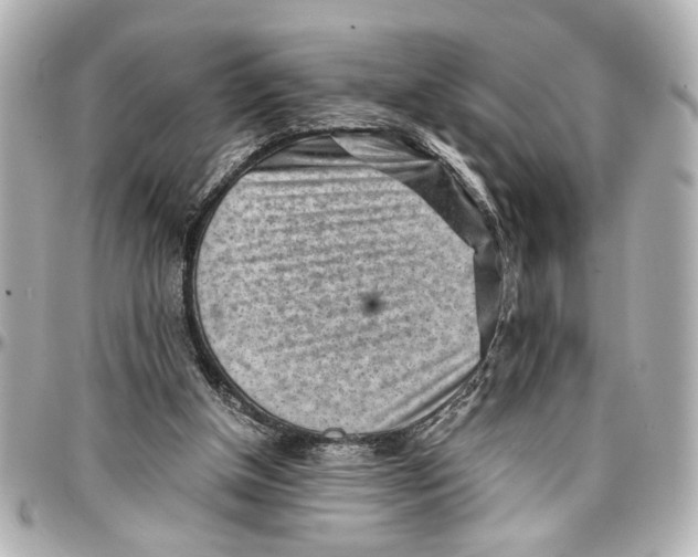 X0000096730154200802261501