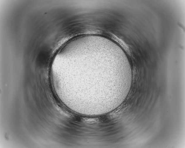 X0000096730155200802261501