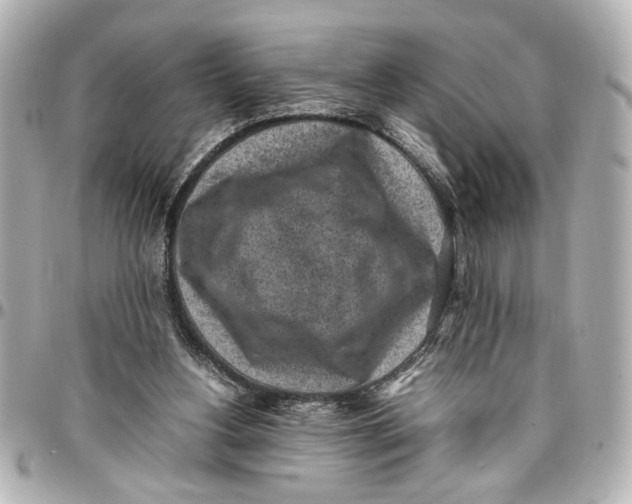 X0000096730156200802261501
