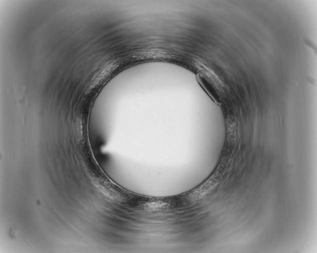 X0000096730158200802261501