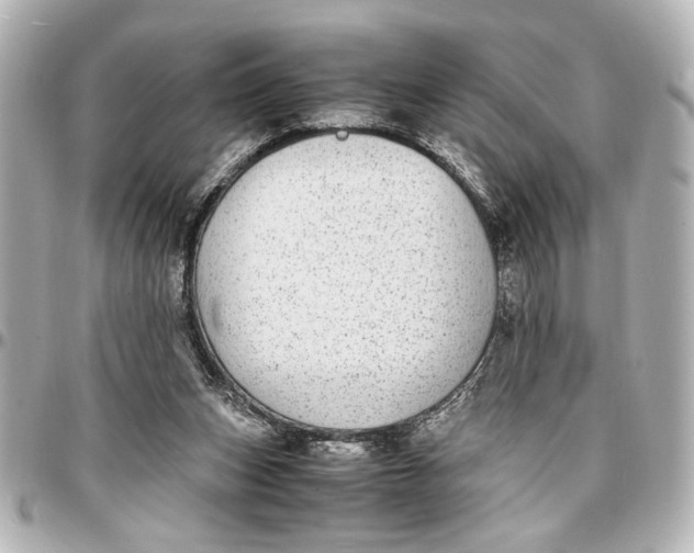 X0000096730159200802261501