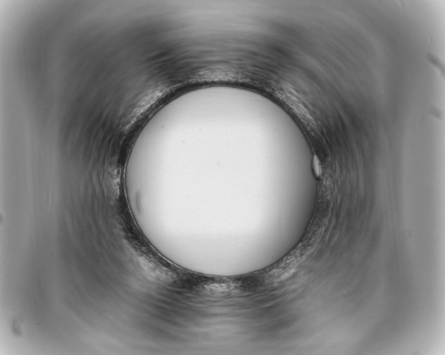 X0000096730160200802261501