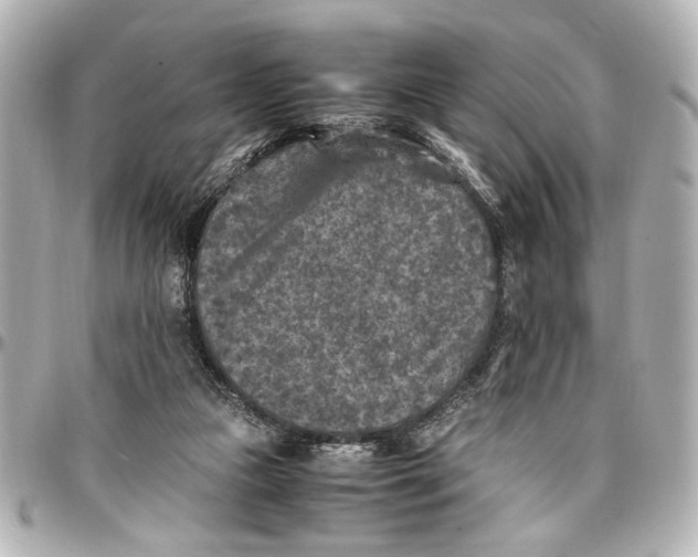 X0000096730161200802261501