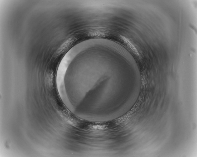 X0000096730163200802261501