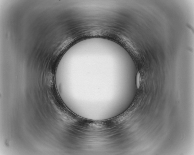 X0000096730164200802261501