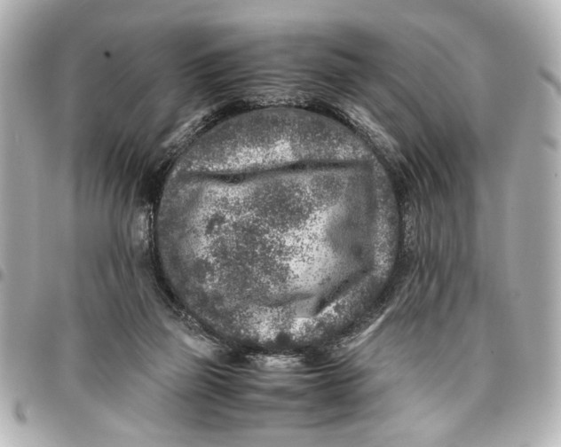 X0000096730165200802261501