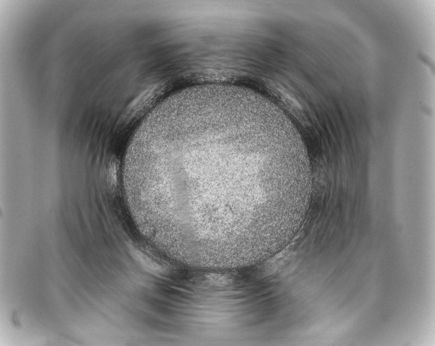 X0000096730166200802261501