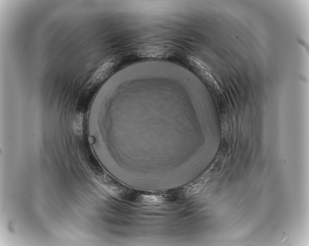 X0000096730167200802261501