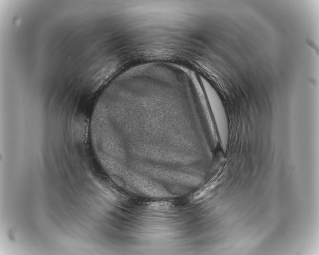 X0000096730168200802261501