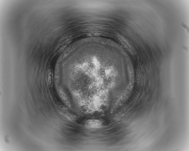 X0000096730169200802261501