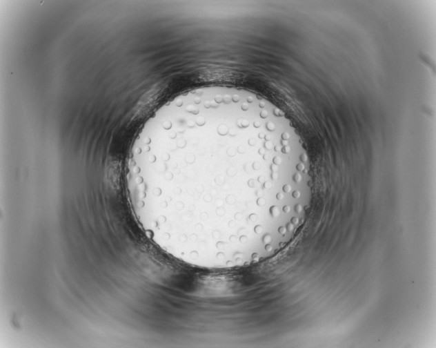 X0000096730171200802261502