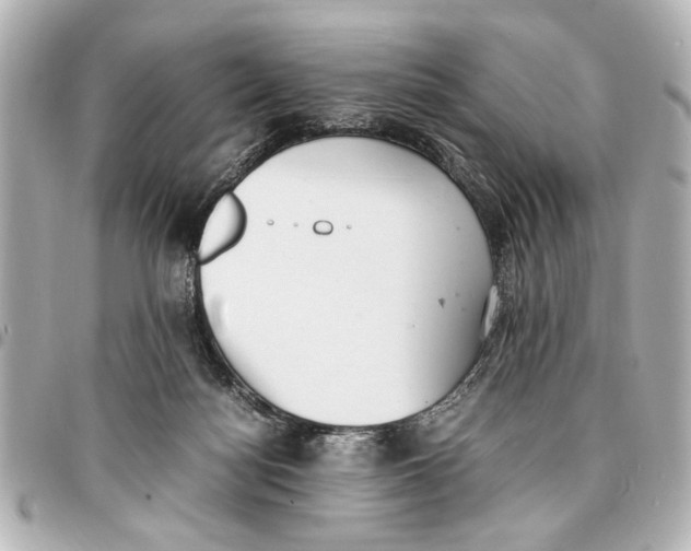 X0000096730172200802261502