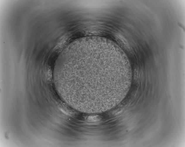 X0000096730173200802261502