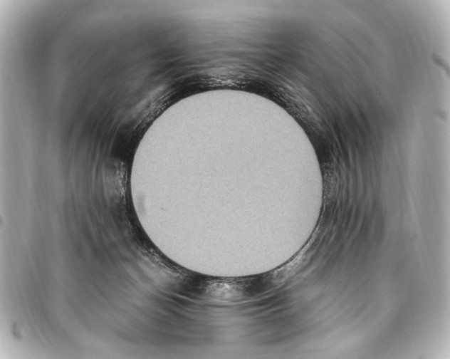 X0000096730174200802261502