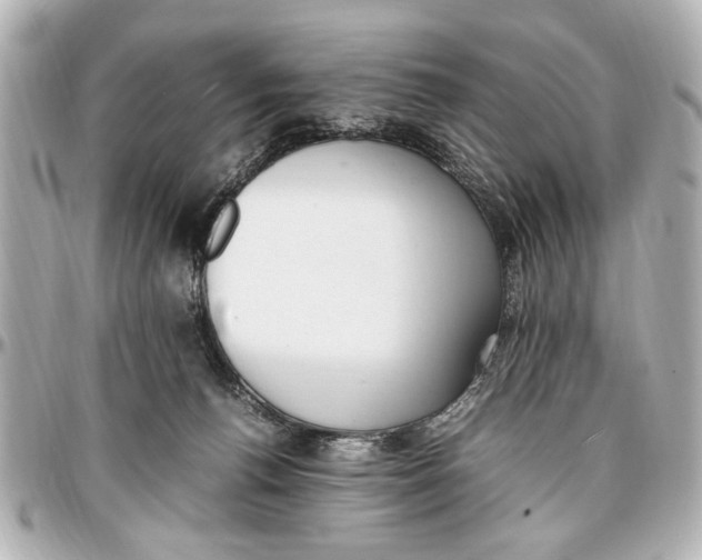 X0000096730176200802261502