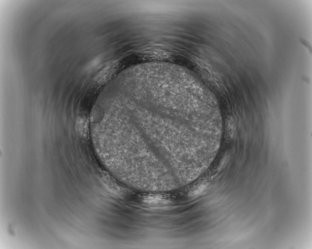 X0000096730177200802261502