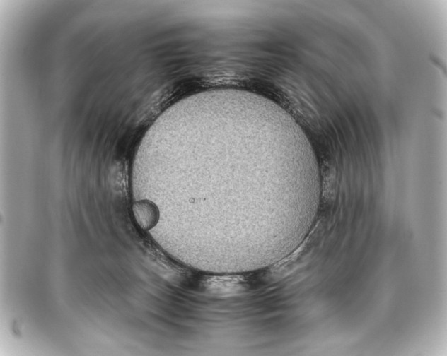 X0000096730179200802261502