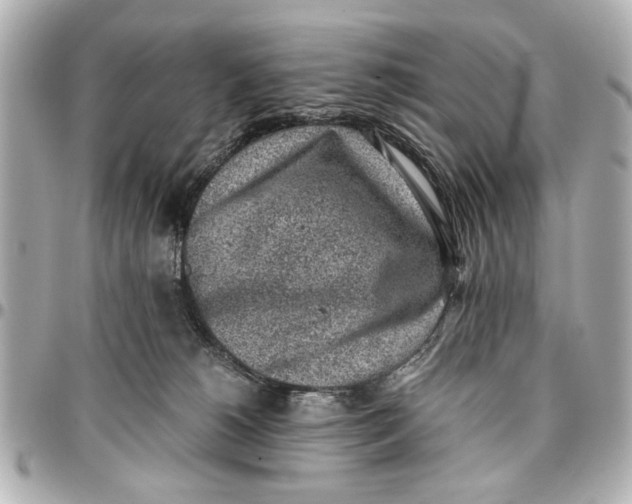X0000096730180200802261502