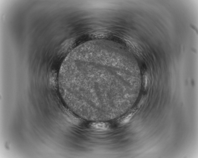 X0000096730181200802261502