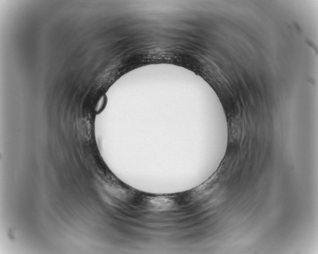 X0000096730183200802261502