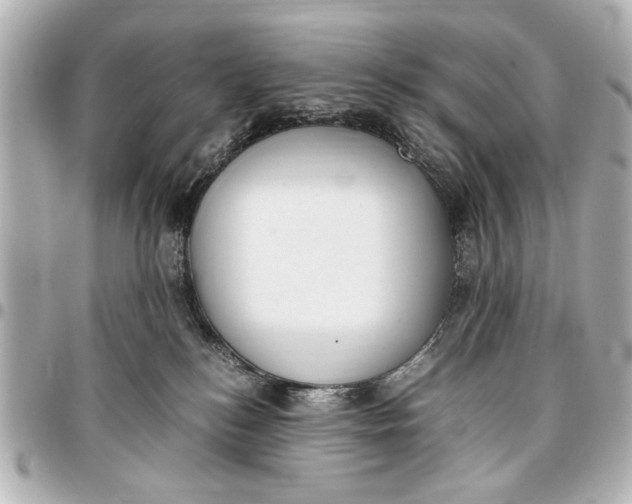 X0000096730184200802261502