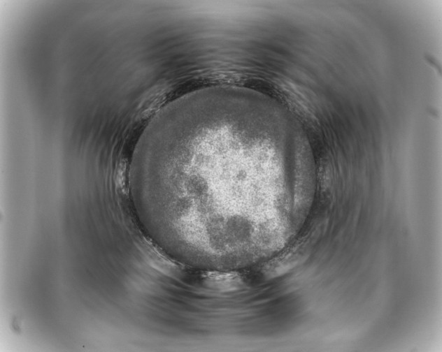 X0000096730185200802261502