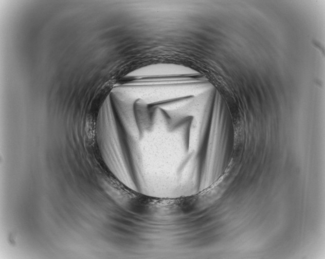 X0000096730186200802261502