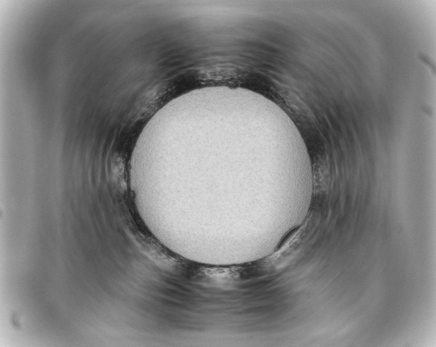 X0000096730187200802261502