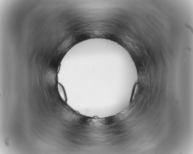 X0000096730188200802261502