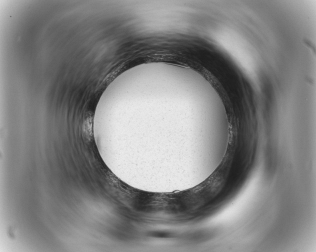 X0000096730190200802261502