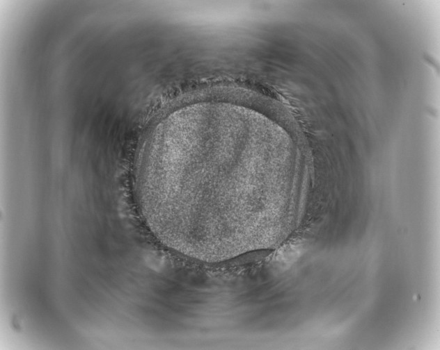 X0000096730192200802261502