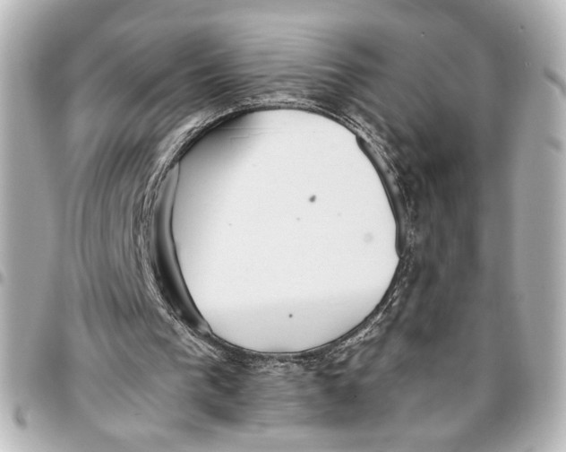 X0000096730193200802261501