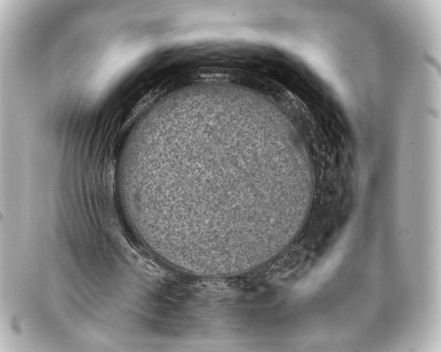 X0000096730194200802261501